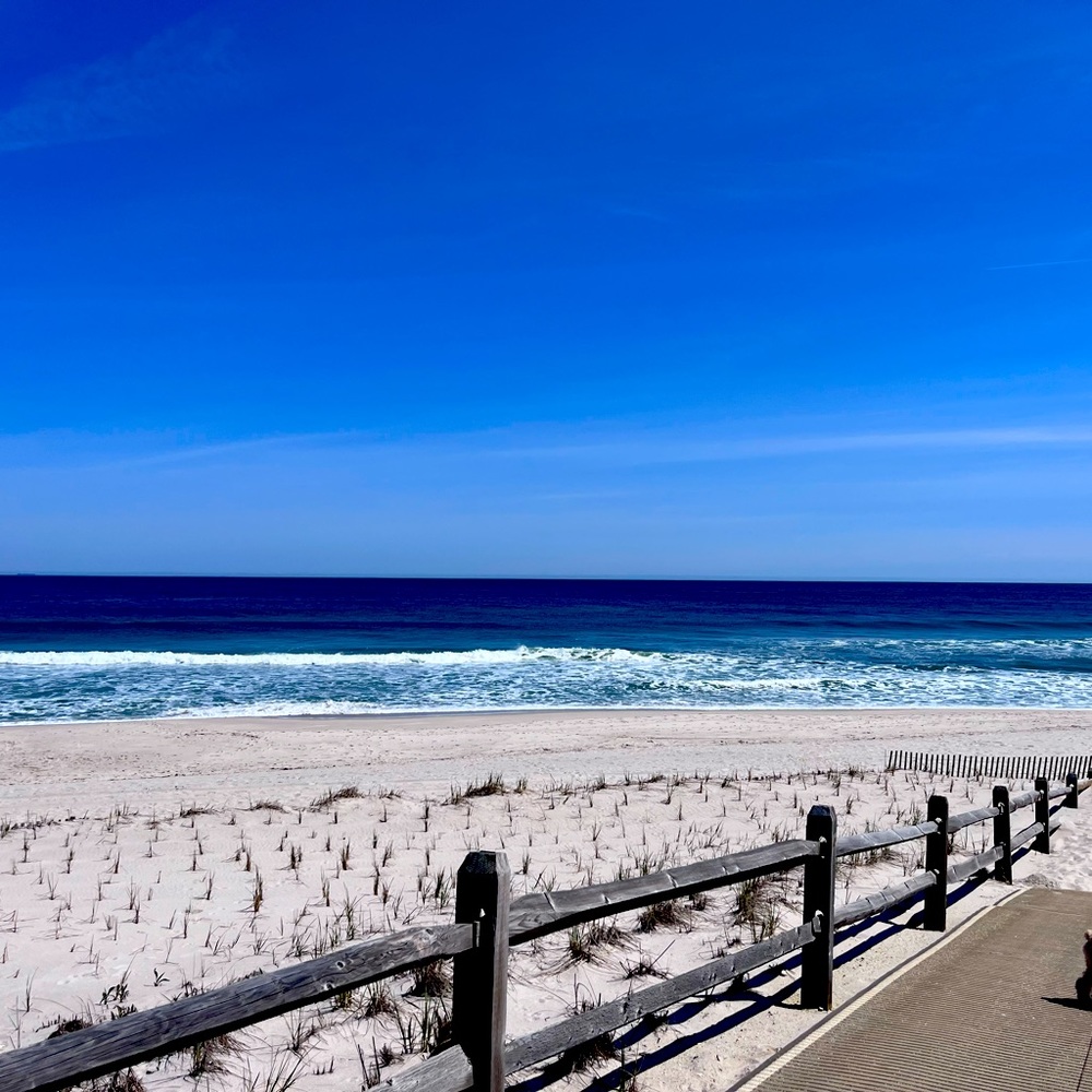 Meet your Posher, Nadine